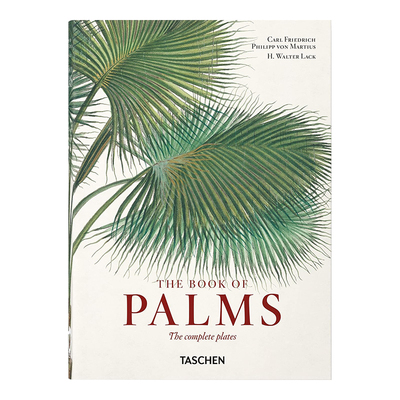 马修斯：棕榈书【40thAnniver