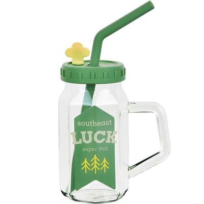 玻璃杯ins风家用透明无铅高硼硅玻璃水杯泡茶吸管杯子带盖带把手