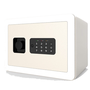 得力(deli)新国标保险箱小型电子密码保险柜全钢防盗指纹保管箱办公家用可入墙入柜25cm60cm80cm居家系列