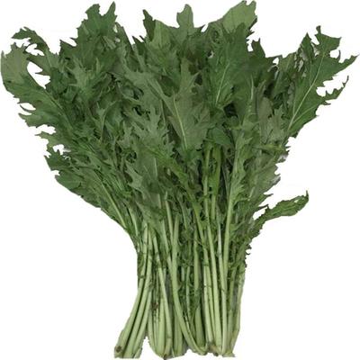 泡椒新鲜青椒虎皮辣椒薄皮