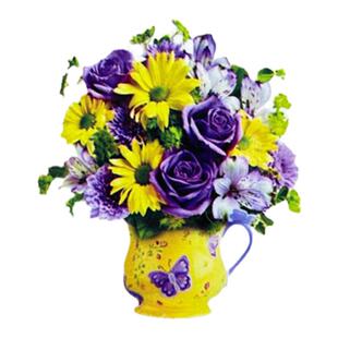 形容词卡片式早教语言发育迟缓孤独症自闭症儿童康复训练教具包邮