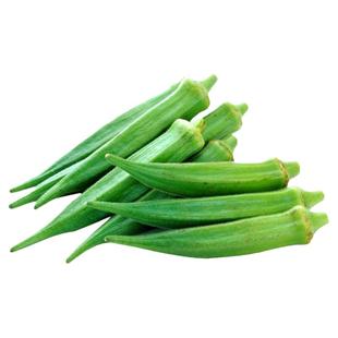 黄秋葵种子种籽苗秧四季水果菜苗菜种菜籽带土秧苗大苗菜孑树苗