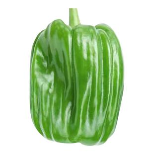 麻辣圆椒种籽阳台盆栽蔬菜辣椒种子麻椒方椒彩灯笼型褶皱青椒种子