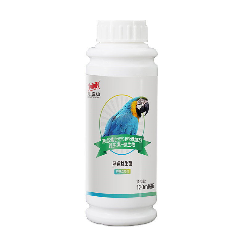 心连心鹦鹉肠道活菌玄凤鸟药