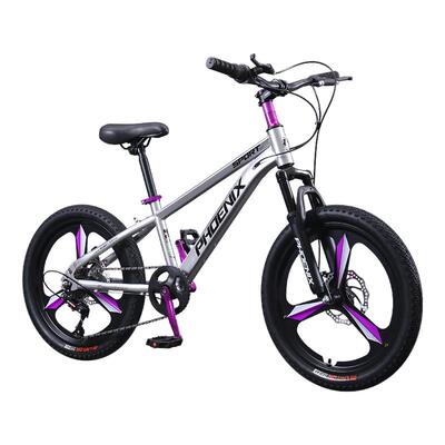 免费试骑凤凰官方学生自行车旗舰