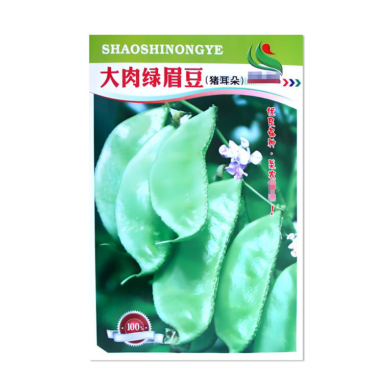 邵氏大肉绿眉豆种子猪耳朵眉豆角