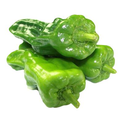 薄皮辣椒苗秧苗线椒种籽螺丝杭椒种子南方种植春季蔬菜苗种孑大全