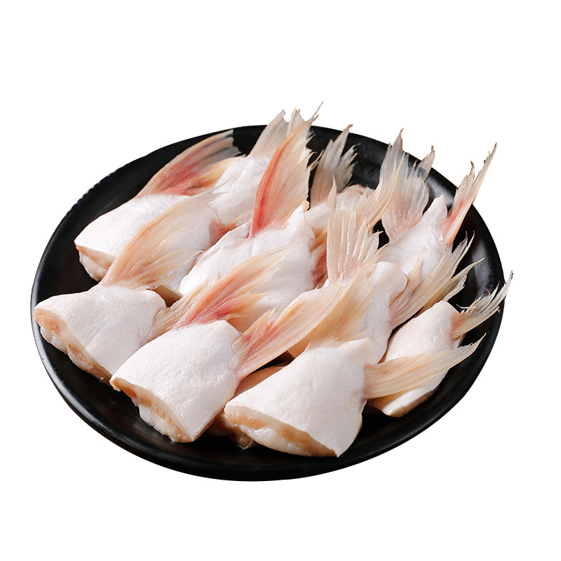 回鱼翅鱼鳍鮰鱼刺翅鱼新鲜水产品