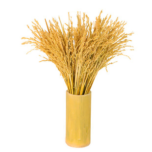 稻穗稻杆子入宅大吉穗穗平安挂饰室内挂件中国风新年干花摆件装饰