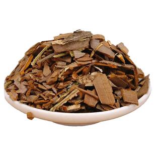 鬼箭羽树苗卫矛鬼见愁树苗盆景室内庭院镇宅绿植盆栽中药材苗