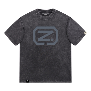 Evolution进化演唱会2.0同款谢霆锋2026短袖t恤洗水做旧应援衣服