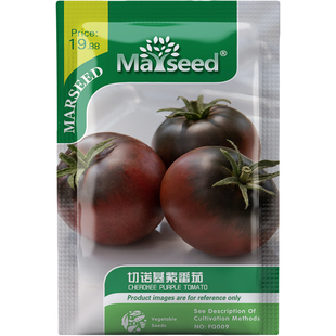 切诺基紫番茄种子种苗深红果肉绿肩高甜抗病盆栽蔬菜生吃凉拌C056