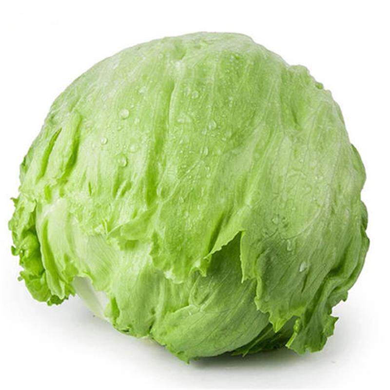 球形生菜5斤2500g球生菜圆生菜西生菜色拉脆甜沙拉菜新鲜蔬菜包邮