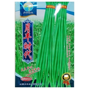 绿领蛟龙豇豆种子小叶绿白条长青豆角缸江豆种籽肉厚耐老200克/袋