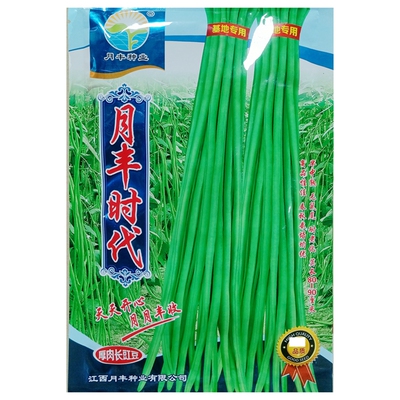 绿领蛟龙长豇豆种子200克200克