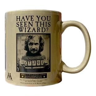 电影哈利波特小天狼星通缉海报复古加热变色马克杯文创水杯礼物