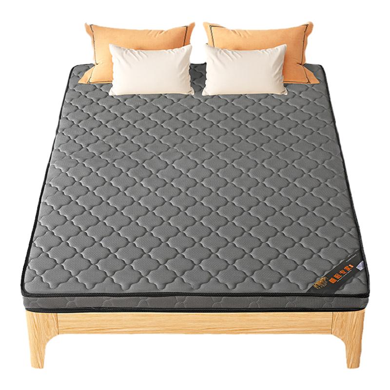 床垫天然椰棕护脊硬垫可折叠家用卧室儿童出租房护腰10cm垫子棕垫