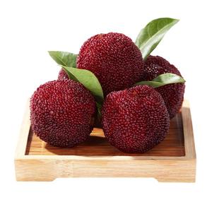 [大果]仙居杨梅鲜果新鲜东魁杨梅正宗浙江杨梅颗粒装当季水果现摘