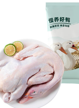 温氏东番鸭2kg慢养飞鸭