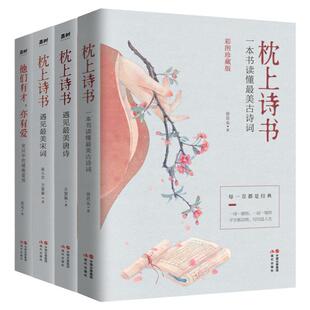 枕上诗书系列全套4册 中国诗词大会正版 遇见最美宋词 遇见最美唐诗 他们有才亦有爱一诗一词一故事一本书读懂古诗词畅销书