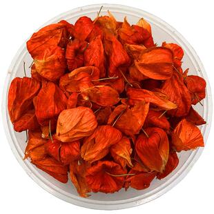 新货红姑娘果苦姑娘灯笼果锦灯笼山红菇娘挂金灯干皮75克快递包邮