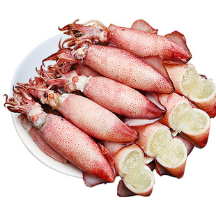 满籽墨鱼仔海兔子新鲜海兔鲜活带籽笔管鱼大乌贼籽乌鱿鱼海鲜水产