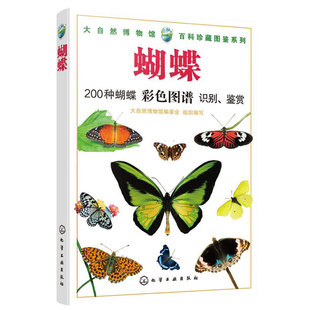 正版  蝴蝶 200种蝴蝶彩色图鉴识别鉴赏 大自然博物馆百科珍藏图鉴 青少年中小学生动植物科普百科全书 凤蝶袖蝶粉蝶知识大全书籍