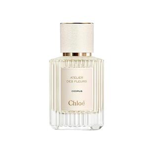 保税仓原装现货Chloe蔻依北国雪松浓香水EDP50ml