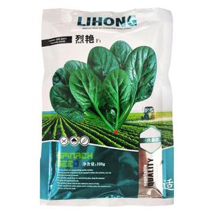 大叶菠菜种子原装春秋冬季耐寒耐热四季播日本红根菠菜籽蔬菜种孑