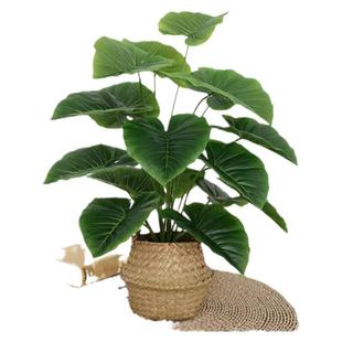 北欧风客厅仿真绿植龟背竹散尾葵小盆栽假绿植摆件装饰假花摆设