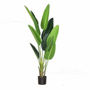 高端北欧简约风仿真绿植物琴叶榕橡皮树玉兰树阔叶类客厅落地装饰