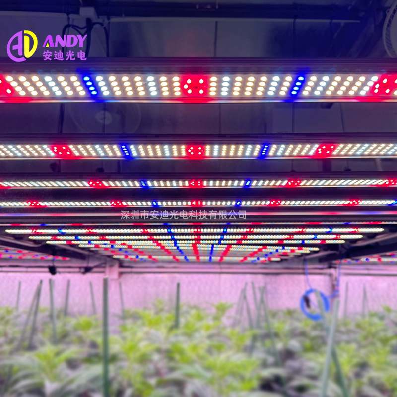 植物生长灯240w320w480w芯片灯1000w281b800w720w植物640w