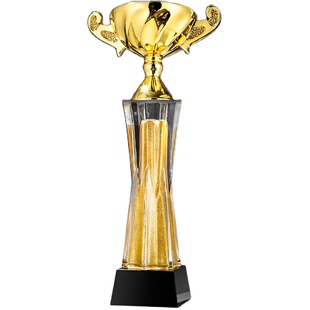 特超大金属水晶奖杯奖牌定制团队员工金饭碗金灿灿颁奖杯5040厘米