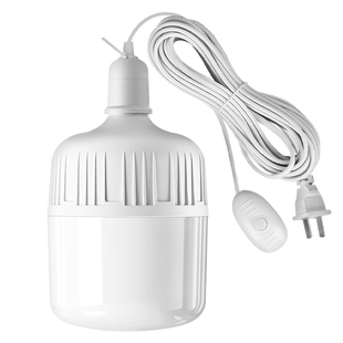 led带线灯泡节能灯家用e27螺口超亮电灯悬挂式插头插线开关照明灯