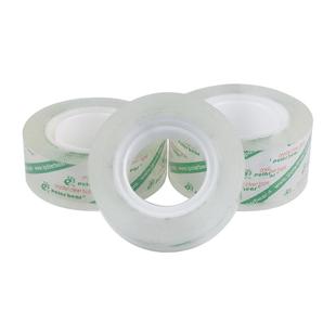 北极熊polar bear透明文具胶带PP-025 026 027易撕小胶布胶带22.85米学生办公错字修改便携手工粘贴必备胶布