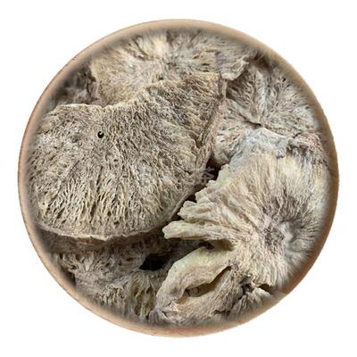50g菊苣根可打粉满包邮