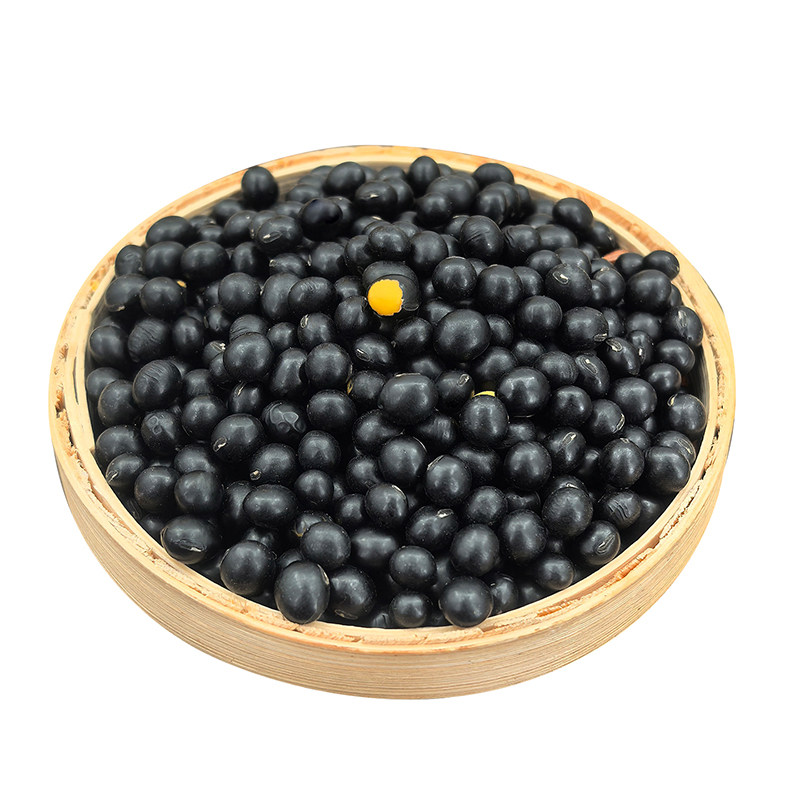 2025新货东北黑豆黄心打豆浆发豆芽专用醋泡蛋白农家自种黄芯黑豆
