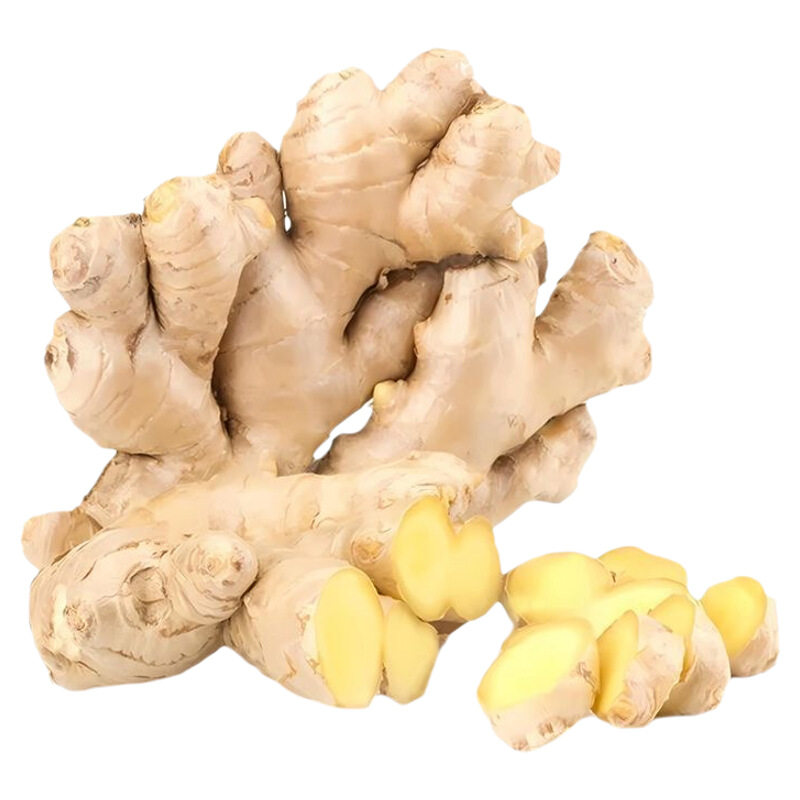 山东特产生姜大黄姜新鲜辛辣味浓的大块姜月子姜食用农场当季