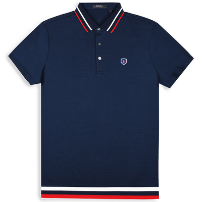 RaidyBoer雷迪波尔新款短袖t恤夏季薄款男士polo衫半袖男装