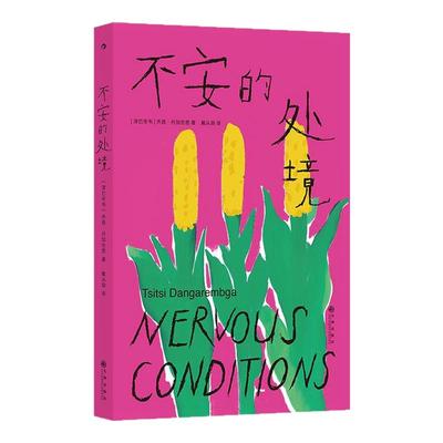 不安的处境非洲女性主义里程碑