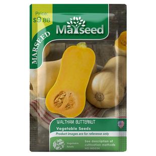 【MARSEED火星家】Waltham Butternut沃尔瑟姆小胡桃南瓜种子籽苗