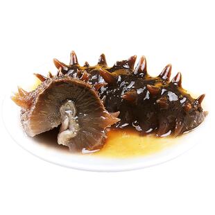 东上御品野生海参即食500g鲜活海生刺参干货旗舰店礼盒单个装