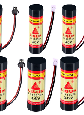 ER14505M18505M3.6V锂电池