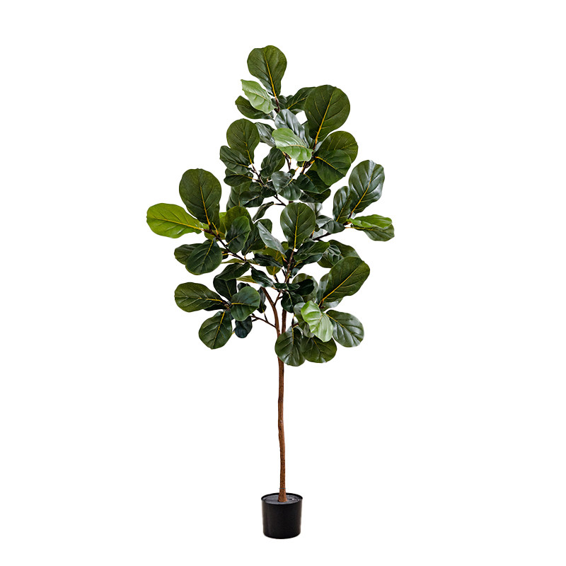 小红书爆款琴叶榕仿生植物盆景