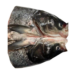 3斤/个 千岛湖鱼头新鲜胖头鱼头大头鱼鲢鱼头花鲢鱼头 淡水鱼头