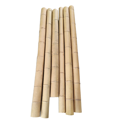 粗大毛竹楠竹竿竹子隔断挡墙防腐