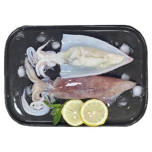 新鲜满籽海兔籽乌鲜活带籽野生全籽海兔子笔管鱿鱼生鲜带膏小鱿鱼