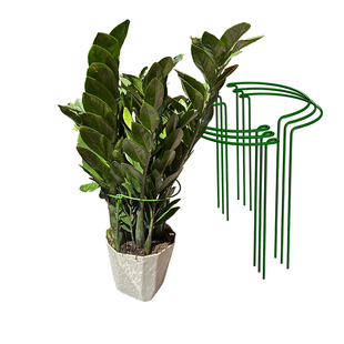 加厚加粗花卉支架花架防倒伏耷拉下垂固定矫正定形形体支撑叶片