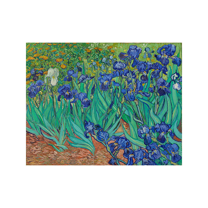 鸢尾花梵高高清油画原版作品装饰画喷绘图片素材