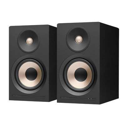 polk_普乐之声A200有源高端音响